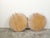 English Pair of English Giltwood 1940s Round Convex Mirrors with Carved Oak Leaves For Sale - Image 3 of 11