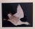 1990s Brenda Zlamany, Birds, Cibachrome Photograph Print, Signed Conceptual Ar, 1998 For Sale - Image 5 of 5