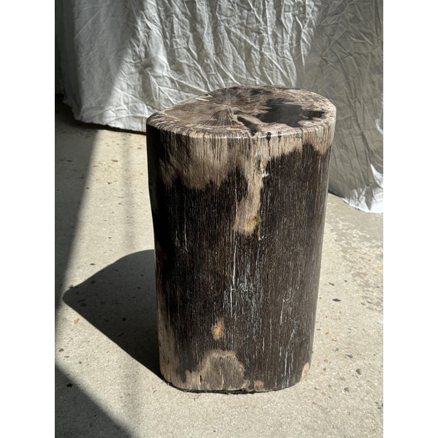 Brown Multicolored Petrified Wood Side Table For Sale - Image 10 of 18