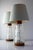 Mid-Century Modern Scandinavian Teak and Glass Table Lamps, Set of 2 For Sale - Image 6 of 17