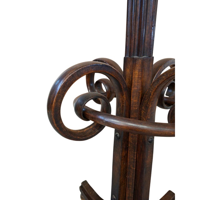 Brown Column Coat Rack in the style of Thonet, 1960s For Sale - Image 8 of 13