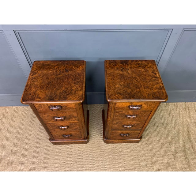 19th Century Victorian Burr Walnut Bedside Chests, 1875, Set of 2 For Sale - Image 5 of 12
