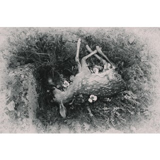 Breath by Jenya Chernoff | Giclée print on fine art paper of a deceased fawn among flowers For Sale