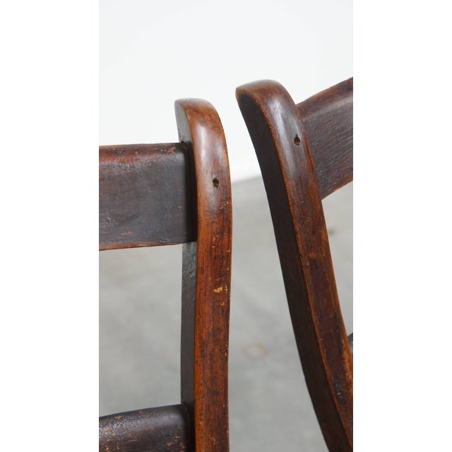 Brown Antique English Oxford Dining Chairs, Set of 10 For Sale - Image 8 of 14