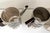 Metal Tea and Coffee Service in Silver-Plated Metal from A.S., 1930s, Set of 2 For Sale - Image 7 of 11