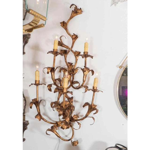 A large and decorative pair of Italian floral hand-forged gilt iron sconces circa 1950. Each holds five lights.