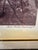 English Framed Game Bird Prints After Archibald Thorburn, Pheasant & Ryper – A Pair For Sale - Image 3 of 12