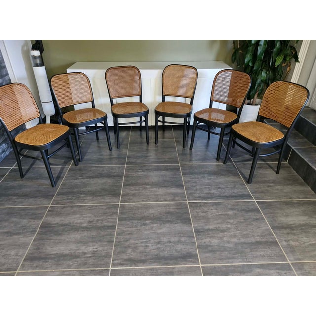 Vintage Model 811 Chairs by Joseph Hoffmann, 1990, Set of 6 For Sale - Image 12 of 18
