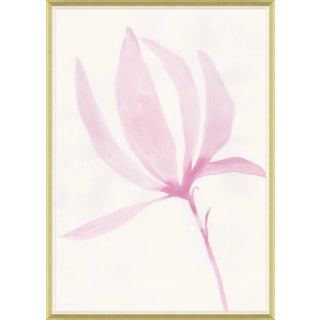 Tulip Magnolia Single Framed Art Print For Sale