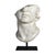 Plastic Unknown, Hellenistic Sculpture of a Head of Apollo, Plater and Resin For Sale - Image 7 of 7