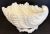 Early 1900s Creamware Shell Serving Bowl For Sale - Image 6 of 8