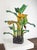 Modern Mid-Century Hand-Carved Wooden Banana Tree Sculpture, South America, 1950s For Sale - Image 3 of 18