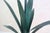 1920s Vintage Painted Metal Daffodil Floor Lamp, England, 1920s For Sale - Image 5 of 7