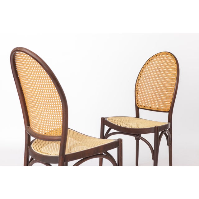 Vintage Bentwood Dining Chairs with Viennese Cane from Thonet, 1960s, Set of 2 For Sale - Image 3 of 12