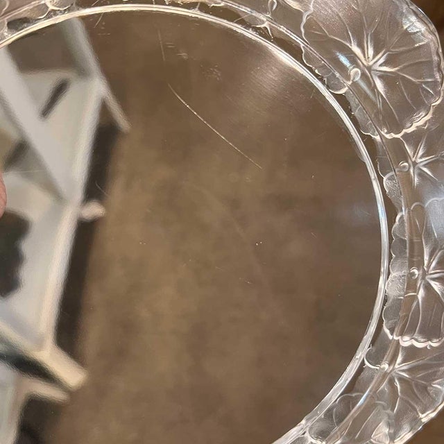 Set Ten Vintage French Lalique Crystal Honfleur (Geranium) Dessert Plates For Sale - Image 14 of 14