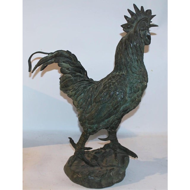 Early 20thc large rooster bronze sculpture in amazing undisturbed surface. This fine piece of art has a wonderful patina....