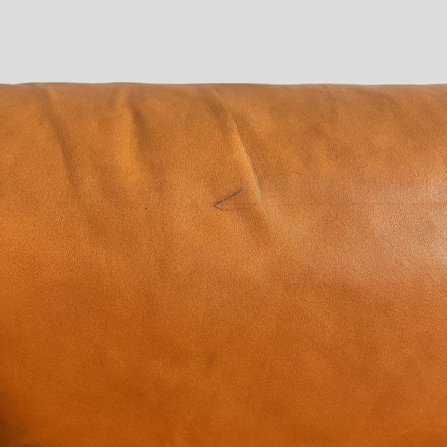 Wood Mid-Century Modern Italian Bastiano Sofa by Afra and Tobia Scarpa for Gavina, 1960s For Sale - Image 7 of 18