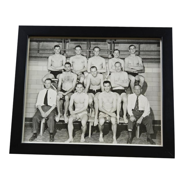 Antique Photograph: University of Minnesota Men's Swimming Team 1948-1949 For Sale