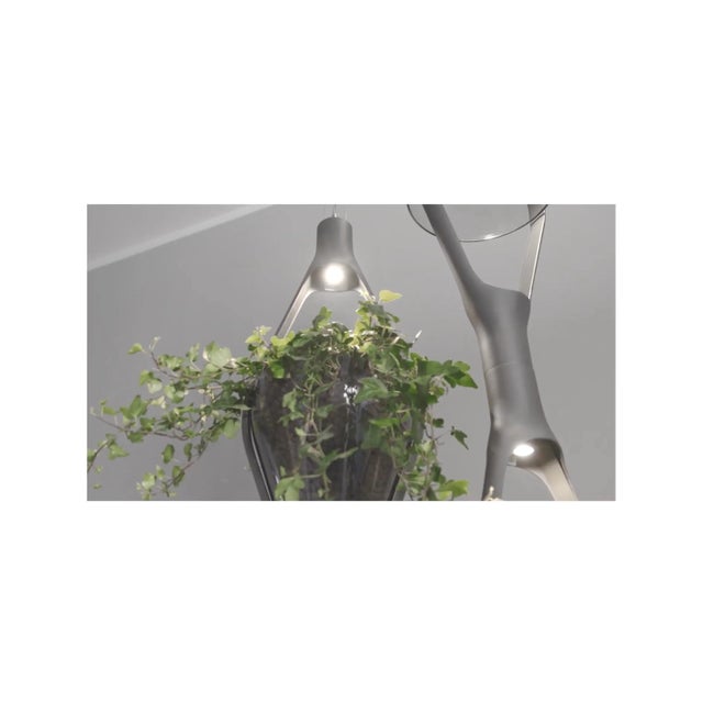 Not Yet Made - Made To Order Viceversa 2' Modular Suspension Lamp by Noé Lawrance for Kdln in Smoke Gray For Sale - Image 5 of 13