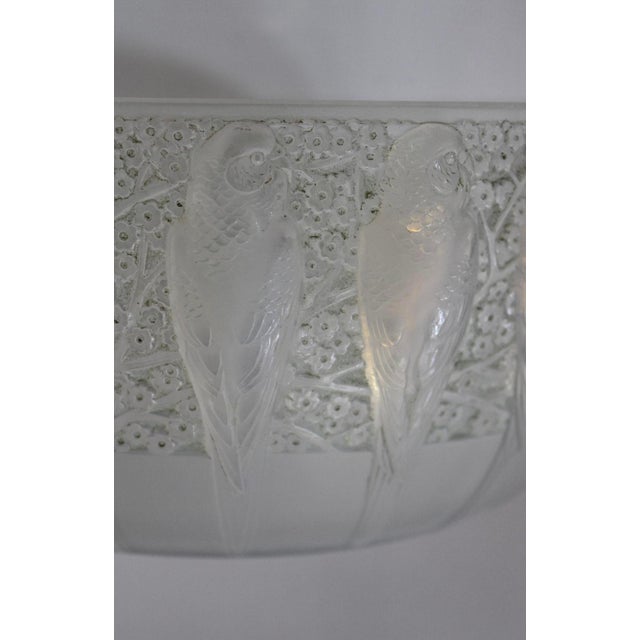 René lalique (1860-1945). “parakeets” cup in opalescent patinated pressed-molded white glass. engraved signature “r...