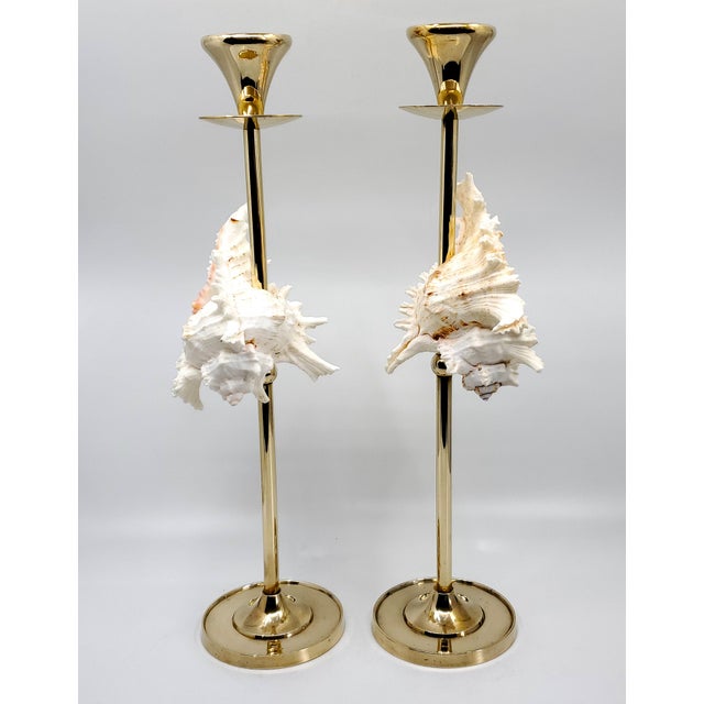 Metal Brass Candlesticks Shells Seashells Pair For Sale - Image 7 of 15