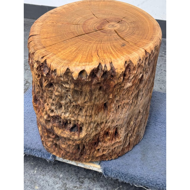 Organic Modern Live Edge Tree Side Table/Stool For Sale - Image 9 of 12