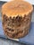 Organic Modern Live Edge Tree Side Table/Stool For Sale - Image 9 of 12
