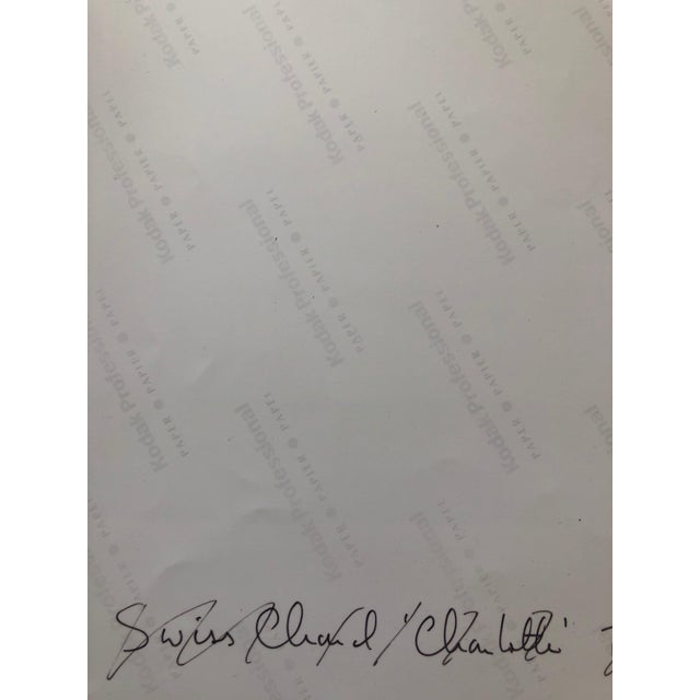 American Peter C. Jones 1, Swiss Chard, Kitchen, Large Format Photo 24X20 Color Photograph Beach House RI, 2001 For Sale - Image 3 of 6