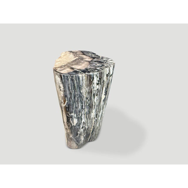 2020s Andrianna Shamaris Minimalist Modern Organic Petrified Wood Side Table For Sale - Image 5 of 5