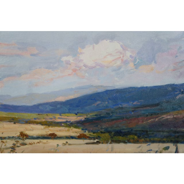 Late 20th Century Rosa Canto Spanish Impressionist Floral Desert Landscape Oil Painting 48" For Sale - Image 5 of 14