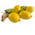 Vintage-Style Italian Majolica Lemon Wall Plaques by Bassano Del Grappa Ceramiche - Pair For Sale - Image 4 of 13