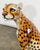 Ceramic Vintage Italian Capodimonte Ceramic Cheetah Sculpture For Sale - Image 7 of 10