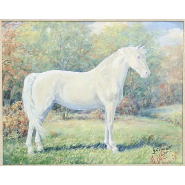 G.V. Conradt 1954 Impressionist oil painting on artists board depicting a portrait of a standing white horse in a wooded...