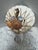 Natural seashell night light with sea life found objects, assorted shells, pearl accents and sea horse fossil. Fun for any...