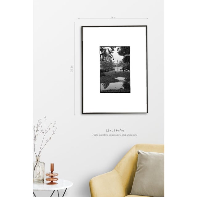 Paul Cooklin, Swans on the Vltava River, Edition of 50 For Sale - Image 4 of 7