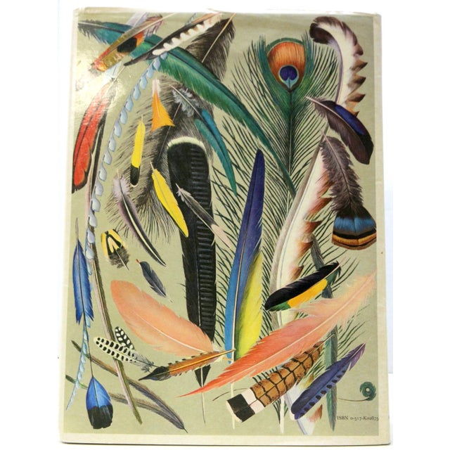 Paper A Flight of 3 Elegant Bird Books – Audubon, Fuentes, Peterson –Oversized Illustrated Ornithology Editions For Sale - Image 7 of 15