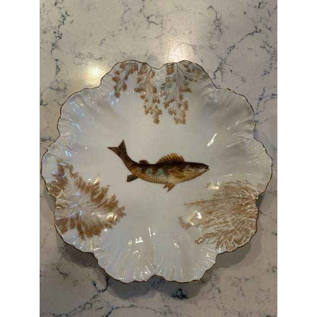 Antique Plates Limoges Gold Rimmed (14 Piece Set) For Sale - Image 17 of 17