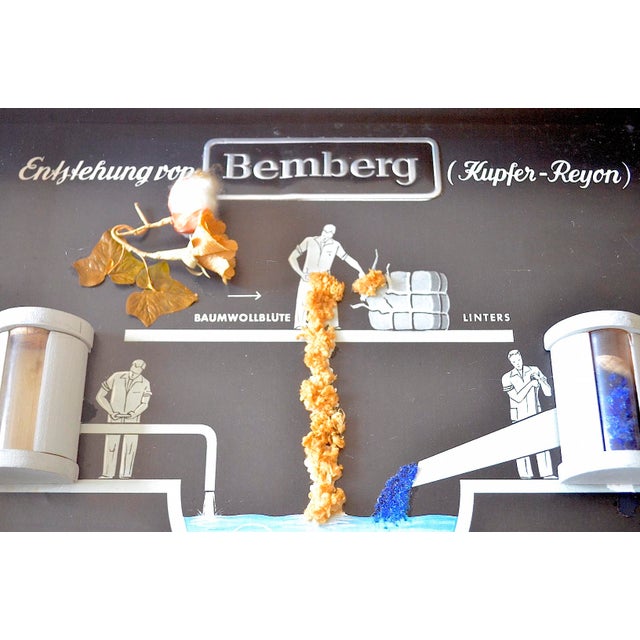 Industrial Showcase from Bemberg Textil, 1950 For Sale - Image 4 of 14