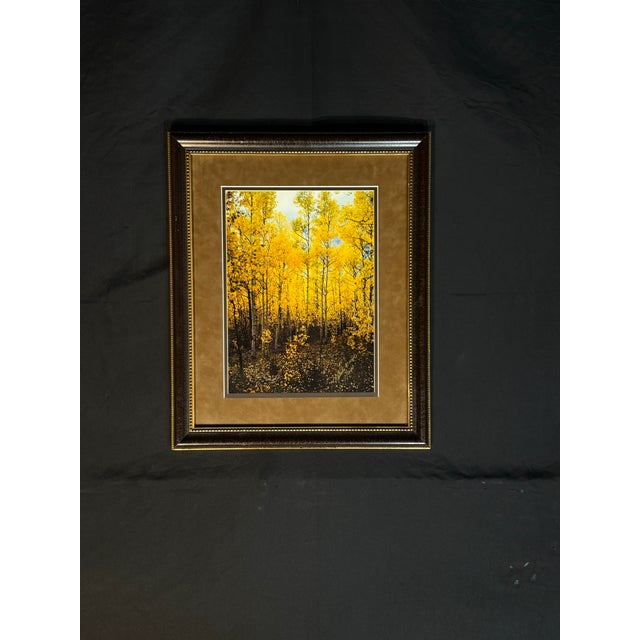 Decorative framed autumn forest print featuring bright yellow trees, warm brown matting, and a classic dark wood-tone...