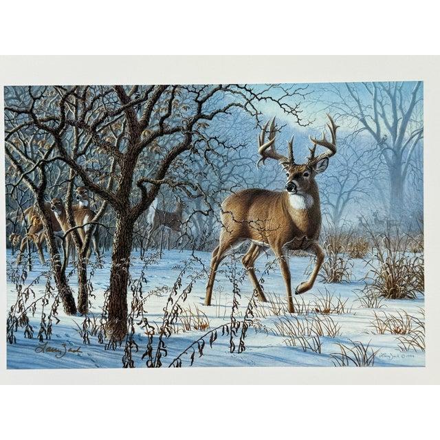 Winter Sunrise - Whitetail Deer LARRY ZACH Deer in a Snowy Forest SIGNED PRINT LARRY ZACH is one of the most important...