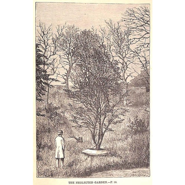 "A Tour Round My Garden" Wood, Rev. j.g. For Sale In New York - Image 6 of 12