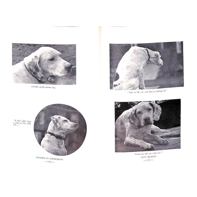 "Nip and Tuck" 1939 Holland, Ray For Sale - Image 10 of 11