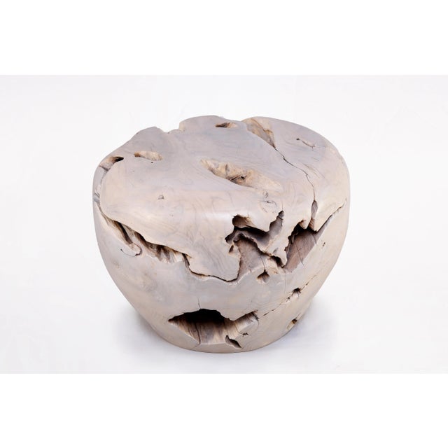 Bleached White Teak Root Accent or Side Table or Stool 26 For Sale - Image 4 of 4