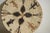 Early 20th C. Hopi Coil Basket Plaque With Geometric Figural Motifs For Sale - Image 10 of 12
