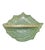 15-Inch Vintage Celery Green Shell Glass Bowl For Sale - Image 9 of 10