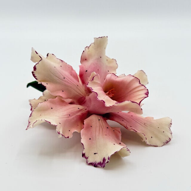 Pink Italian Capodimonte-Style Porcelain Pink Lily Sculpture – Realistic Hand-Formed Floral For Sale - Image 8 of 8