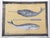 Whale Painted in gray on pale yellow background. Traditional, Minimalism, Folk Art, Pop Art, coastal, nautical. This...