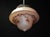 White Art Deco Floral Glass Pendant Light with Chrome Fittings, 1930s For Sale - Image 8 of 14