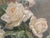 Antique 1848 Still Life Floral Roses Watercolor Painting Signed For Sale - Image 4 of 12
