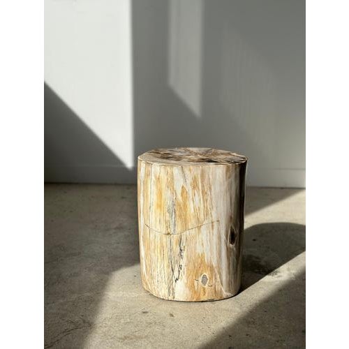 Side table, pedestal table or occasional furniture in multicolored petrified wood, predominantly light. Petrified wood is...